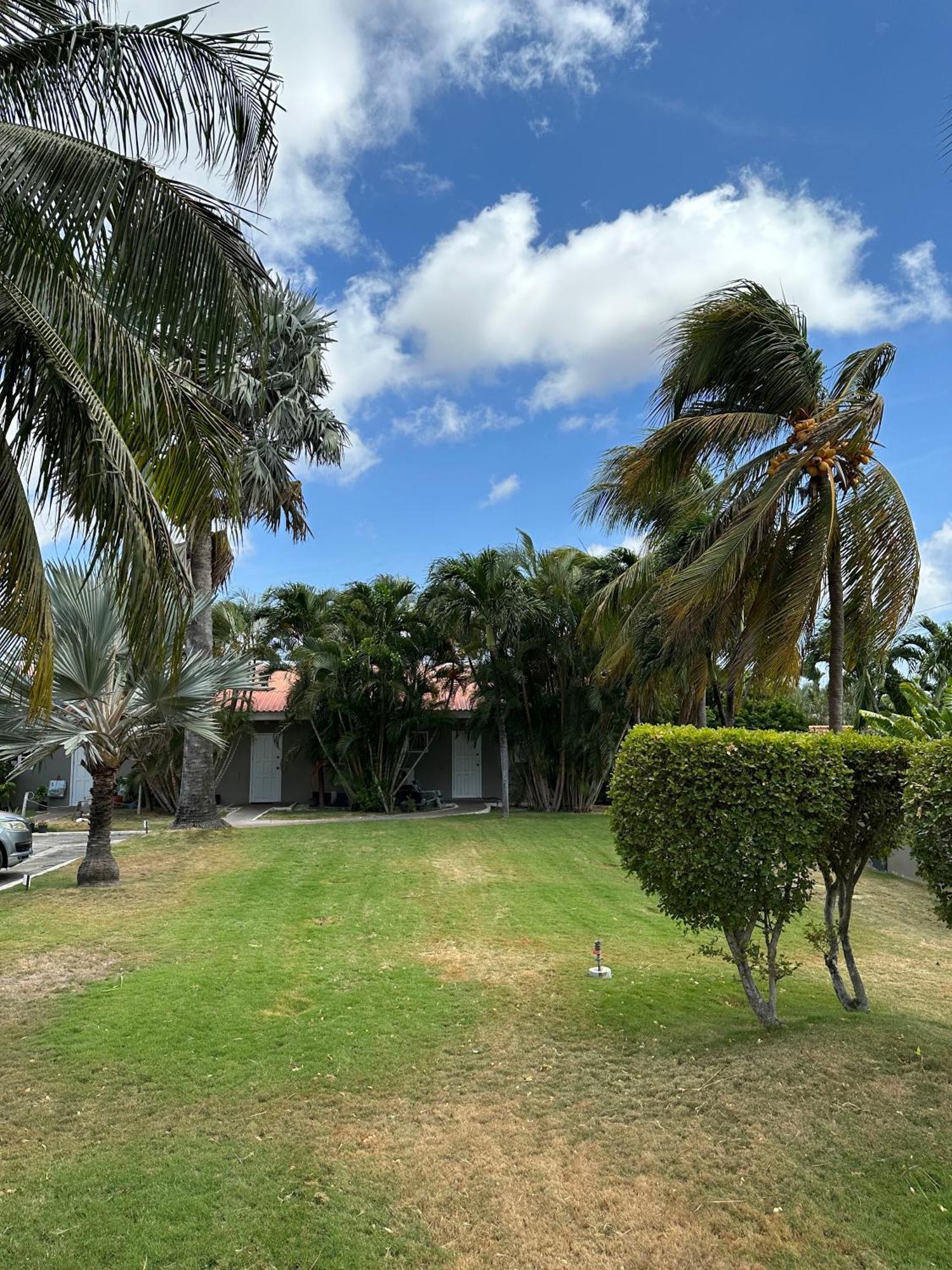Windmill Apartments Curacao Willemstad Buitenkant foto