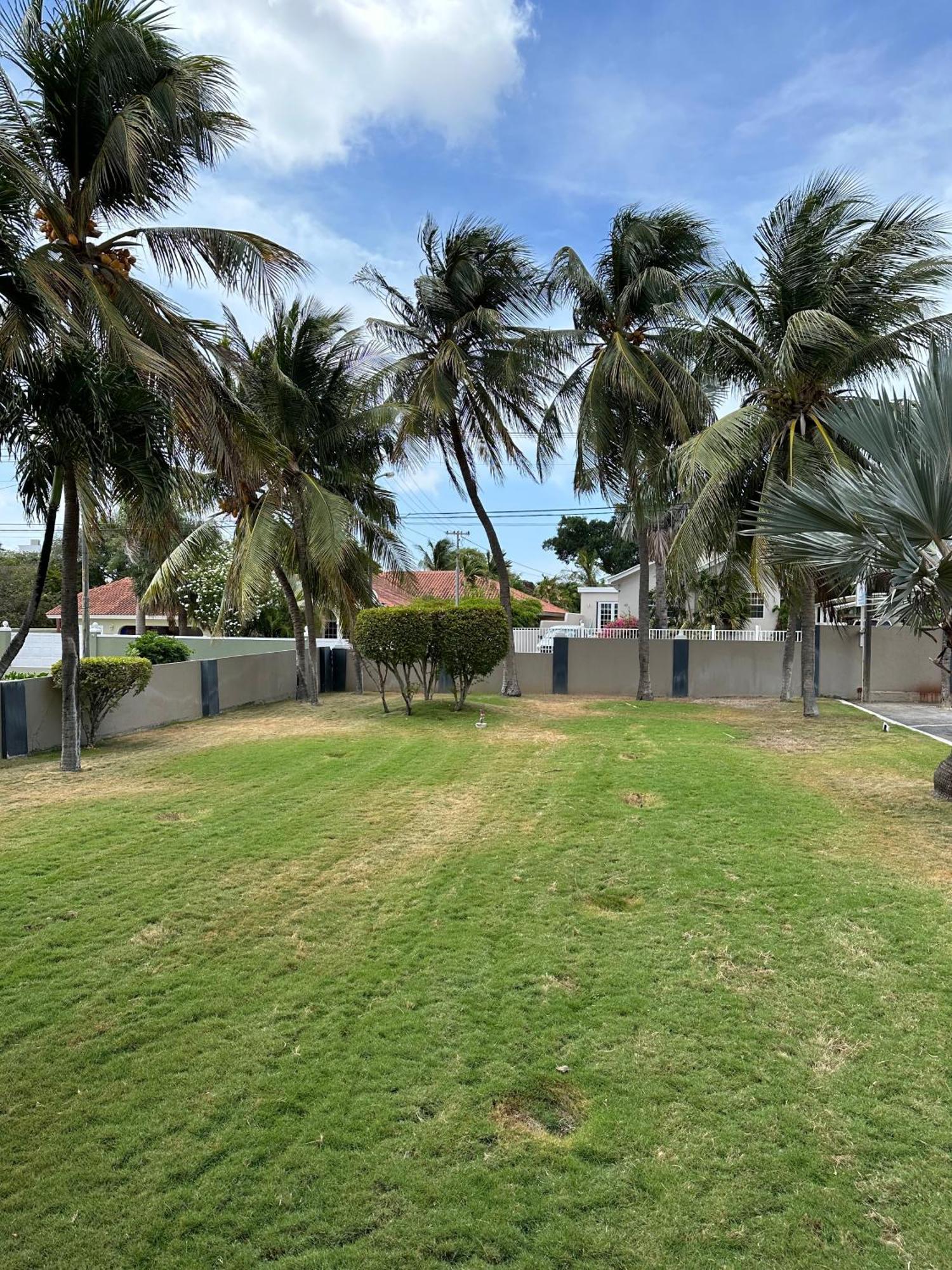 Windmill Apartments Curacao Willemstad Buitenkant foto